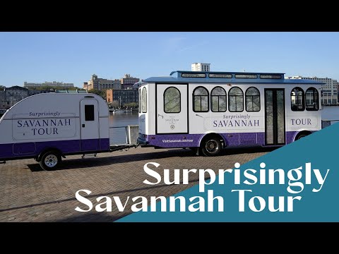 Surprisingly Savannah Tour