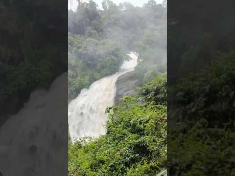 MUNNAR ONE DAY DIFFERENT CLIMATE @LPNVLOGS #LPNVLOGS #munnarkerala #kerela #travel #kerala #VIRAL