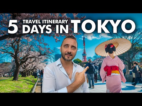 How to Spend 5 Days in TOKYO in 2025?