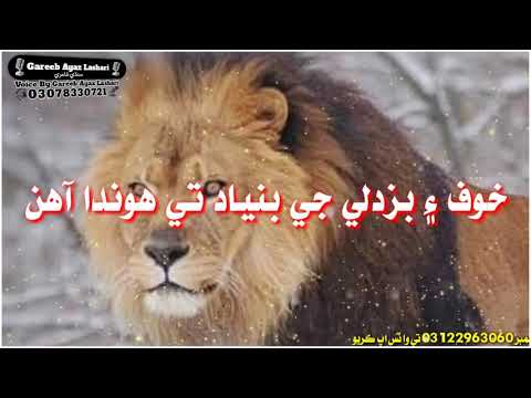 Sindhi attitude poetry || Shehn ja faisla || Sindhi attitude whatsapp status 2020