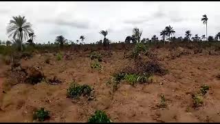 Most Affordable land in a strategic location in Aba Abia state for sale close to ariara  int market