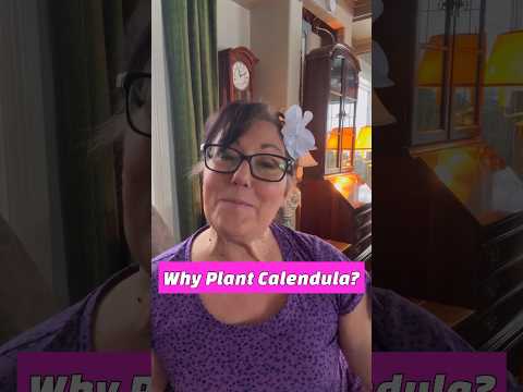 Why Plant Calendula?