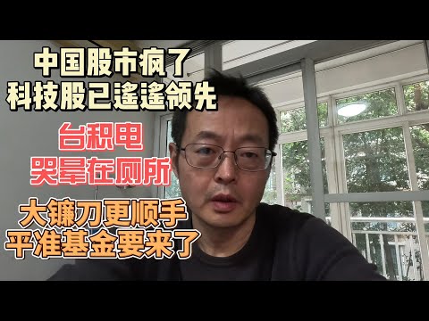 中国股市疯了 科技股已遥遥领先 台积电哭晕在厕所|大镰刀割韭菜更顺手 平准基金要来了