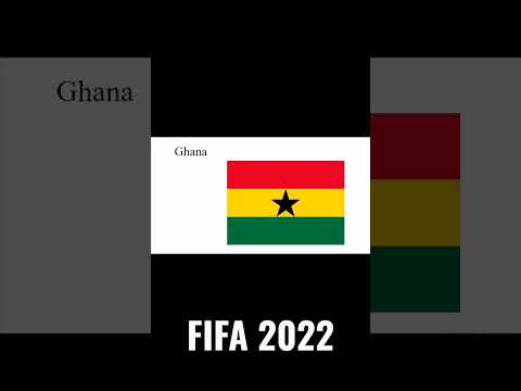 FIFA 2022 qualified teams