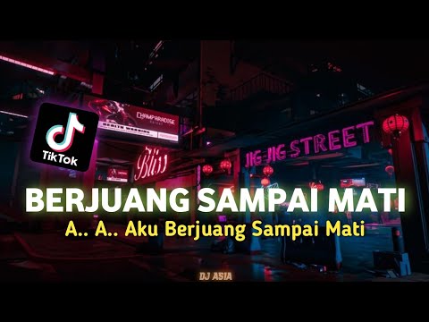 DJ BERJUANG SAMPAI MATI - AA AKU BERJUANG SAMPAI MATI REMIX VIRAL TIKTOK TERBARU 2024