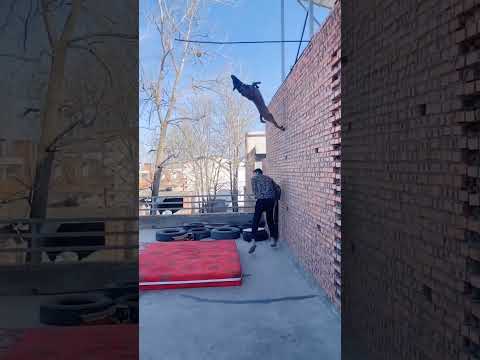 Belgian malinois jump training #smartdogs