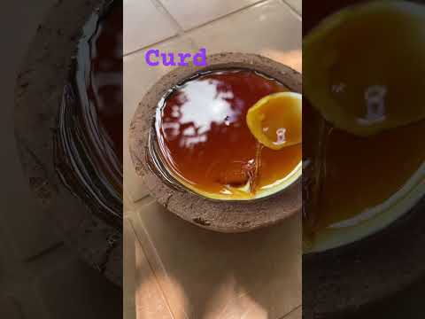 පැණි බේරෙන කිරි කමු කටට කෙල උනනවෝ#curd#short