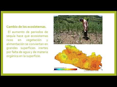 El cambio climático y sus efectos en el desarrollo territorial