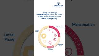 Secrets of Your Fertile Period and Monitoring Your Menstrual Cycle