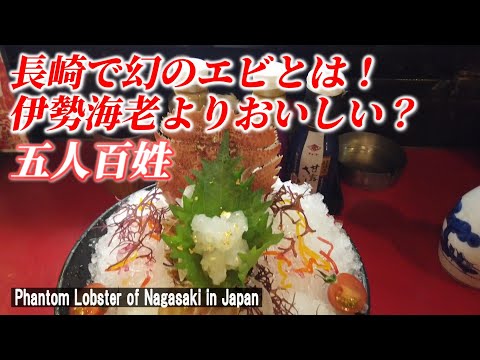 【長崎グルメ】幻のエビといわれるうちわ海老は絶品だった！「五人百姓」【Phantom Lobster of Nagasaki city in Japan】