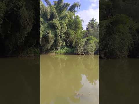 beautiful views of Panamaram river from Mathothpoil, Panamaram, Wayanad