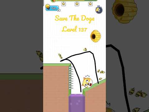 Save The Doge Level 137 3 STARS Gameplay. #savethedoge #shorts #gameplay #walkthrough #mobilegame