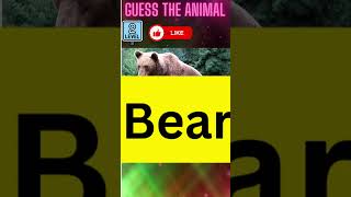 Animal Guessing Game: Can You Identify the Creature from the Clues? #shorts #quiztime