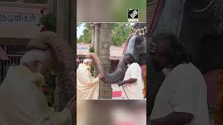 Elephant at Sri Ranganathaswamy Temple in Tamil Nadu blessed PM Modi, played mouth organ