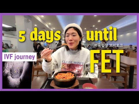 Days before Frozen Embryo Transfer vlog l What I ate before embryo transfer, IVF journey over 40