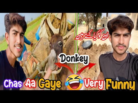 Very funny video 😂👌| Amazing video