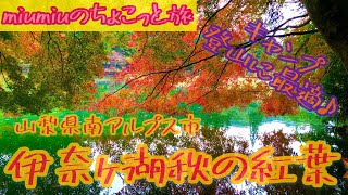 【一人旅】伊奈ヶ湖の紅葉🍁キャンプ、登山にも最高の場所✨　4K