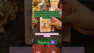 #Taurus #taurushoroscope #taurustarot #tauruszodiac #taurustarotreading