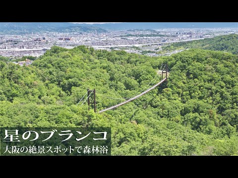 星のブランコ（吊り橋）展望台までハイキング【大阪絶景スポット】