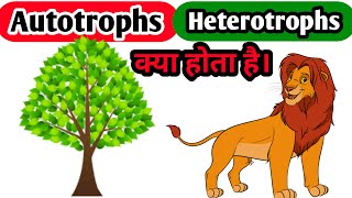 #AUTOTROPHS #HETEROTROPHS Autotrophs And Heterotrophs #BIOBOX What Is Autotrophs