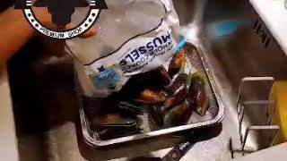 White wine mussels 白酒煮藍青口