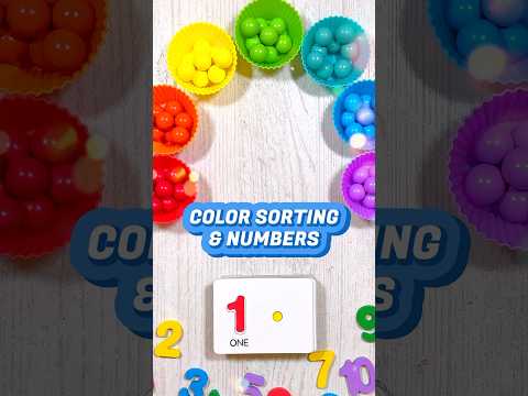 Color Sorting and Numbers for Toddlers | Educational Videos for Kids #shorts