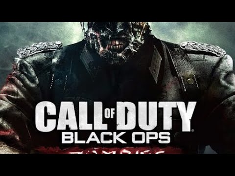 Call of Duty -Zombies (Five) Rd.45?