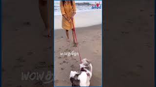 Varalaxmi Sarathkumar Playing with her Dog #tamilactress #shitzhu #varalakshmi #petlover