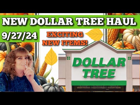 Exciting New Items in this weeks haul 9/27/24