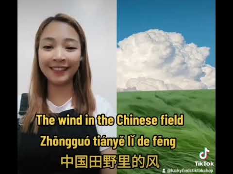 Wind in Chinese Fields