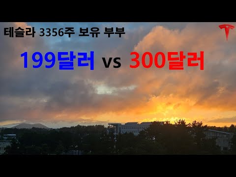 199달러 vs 300달러