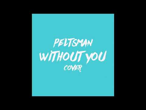 The Kid LAROI - WITHOUT YOU (Peltsman Cover)