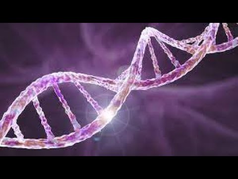 DNA Repair & Rejuvenation - (Morphic)