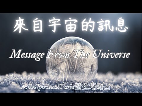 1111來自宇宙的訊息，此刻宇宙有什麼話想告訴你？此刻的我與哪些天使訊息連結更深？TimeLess無時間限制【蜜拉塔羅占卜ＭilaSpiritualTarot】