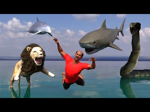 How To Survive Shark , Lion , Anaconda , Dolphin Attack And Facts Folklore Of The World