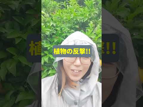 農学修士による雨と植物の話