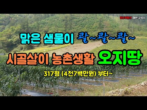 맑은 샘물이 콸~콸~콸~ 흘러나오는 곳 시골살이 농촌생활 오지땅 317평(4천7백만원)부터 / 정선토지박사