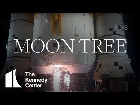 The Kennedy Center Moon Tree