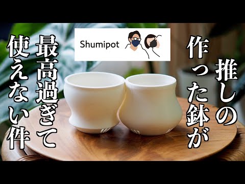 オシャレな3Dプリント鉢と珍奇植物｜Shumipot｜ケープバルブ