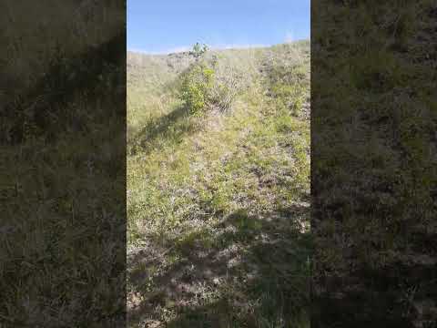 Through The #woodland #marsh And Up The #hill To The #prairie