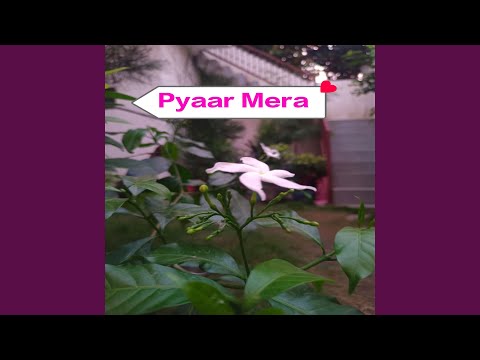 Pyaar Mera