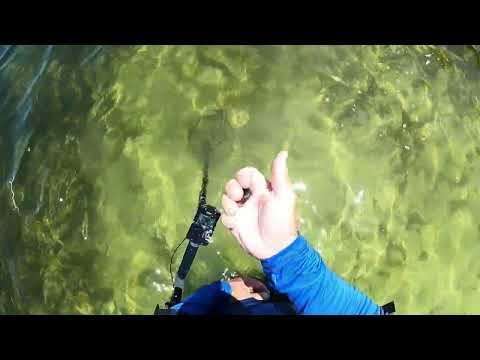 Metal Detecting Under Water with the Deus2