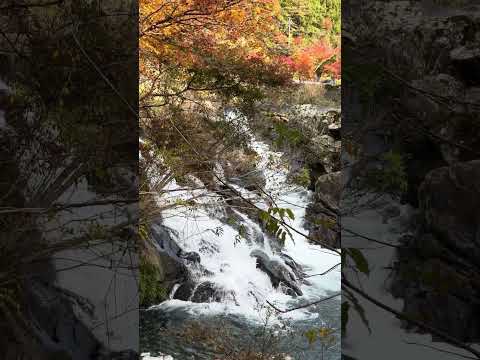 Waterfall #japan #shorts #travel