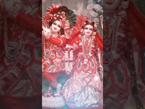 samaham wso  aree dawan me 🥰 jai shree krishan ❤️radhe radhe 🥰 whatsapp status video 🔥🔥 short video