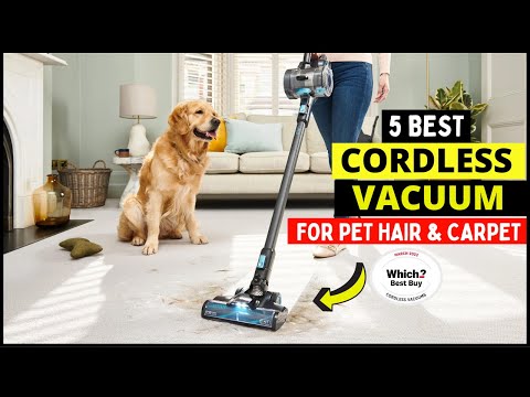 Top 5 Cordless Vacuum of 2023 | Best Cordless Vacuum for Car Detailing, Pet Hair, High Pile Carpet