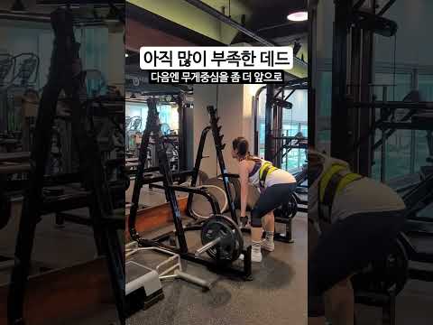 아직도 어려운 여자 데드리프트 60kg #shorts #데드리프트 #deadlift #운동하는여자 #다이어트