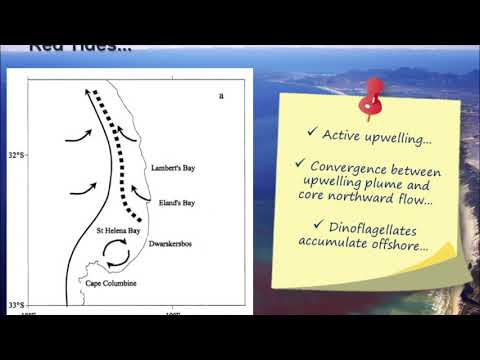 Earth Observation Benguela Upwelling System