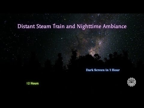 Soothing Steam Train Sounds for Deep Sleep | Nighttime Ambience