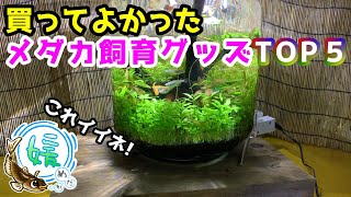 買ってよかったメダカ飼育グッズTOP５【媛めだか】