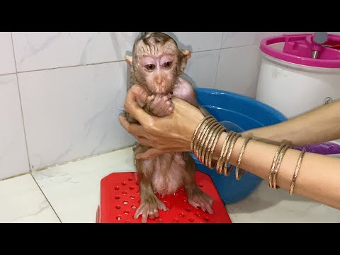 Adorable Baby Boy Sit for mom take a bath look is very cute